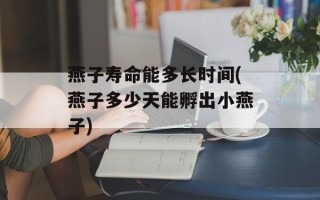 燕子寿命能多长时间(燕子多少天能孵出小燕子)