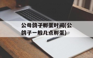 公母鸽子孵蛋时间(公鸽子一般几点孵蛋)