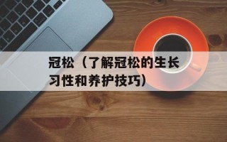 冠松（了解冠松的生长习性和养护技巧）