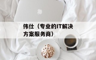 伟仕（专业的IT解决方案服务商）