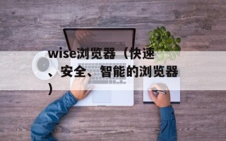 wise浏览器（快速、安全、智能的浏览器）