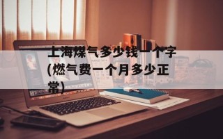 上海煤气多少钱一个字(燃气费一个月多少正常)