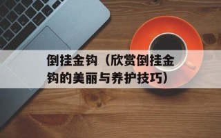 倒挂金钩（欣赏倒挂金钩的美丽与养护技巧）