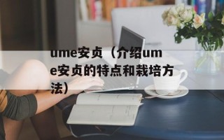 ume安贞（介绍ume安贞的特点和栽培方法）