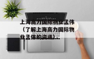上海高力国际物业孟伟（了解上海高力国际物业孟伟的资讯）