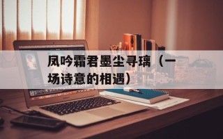 凤吟霜君墨尘寻璃（一场诗意的相遇）