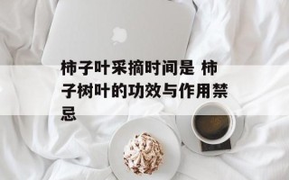 柿子叶采摘时间是 柿子树叶的功效与作用禁忌