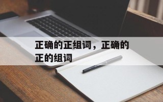 正确的正组词，正确的正的组词