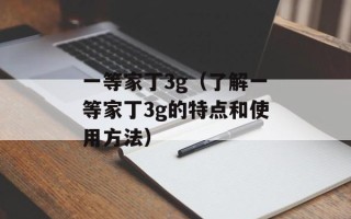 一等家丁3g（了解一等家丁3g的特点和使用方法）