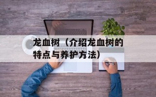 龙血树（介绍龙血树的特点与养护方法）