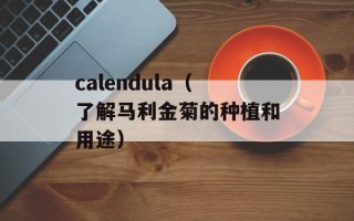 calendula（了解马利金菊的种植和用途）