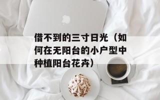 借不到的三寸日光（如何在无阳台的小户型中种植阳台花卉）