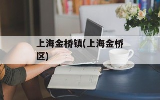 上海金桥镇(上海金桥区)