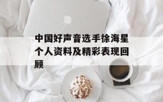 中国好声音选手徐海星个人资料及精彩表现回顾