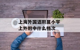 上海外国语附属小学 上外附中什么档次