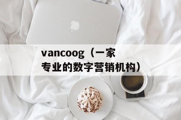 vancoog（一家专业的数字营销机构）-第1张图片-居家生活