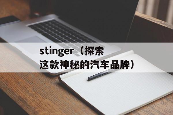 stinger（探索这款神秘的汽车品牌）-第1张图片-居家生活