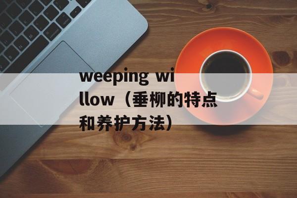 weeping willow（垂柳的特点和养护方法）-第1张图片-居家生活
