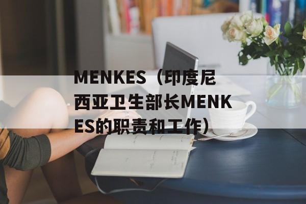 MENKES（印度尼西亚卫生部长MENKES的职责和工作）-第1张图片-居家生活