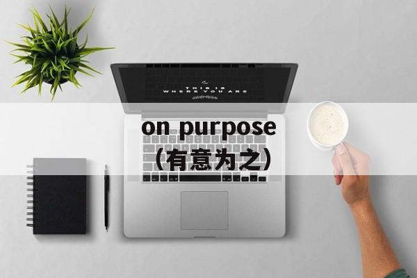 on purpose（有意为之）-第1张图片-居家生活