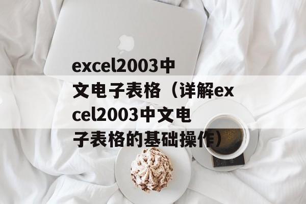 excel2003中文电子表格（详解excel2003中文电子表格的基础操作）-第1张图片-居家生活