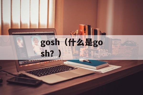 gosh（什么是gosh？）-第1张图片-居家生活