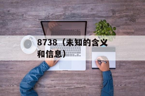 8738（未知的含义和信息）-第1张图片-居家生活