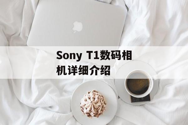 Sony T1数码相机详细介绍-第1张图片-居家生活