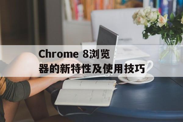 Chrome 8浏览器的新特性及使用技巧-第1张图片-居家生活