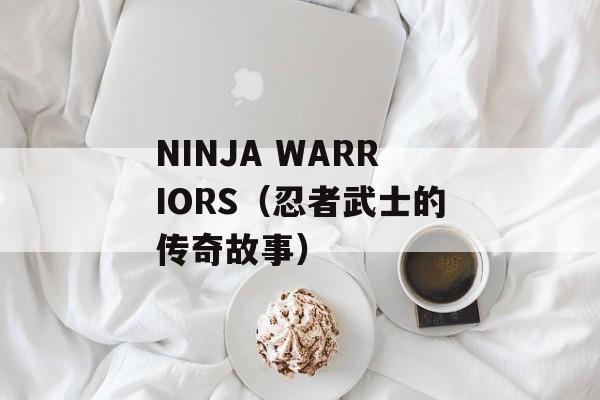 NINJA WARRIORS（忍者武士的传奇故事）-第1张图片-居家生活