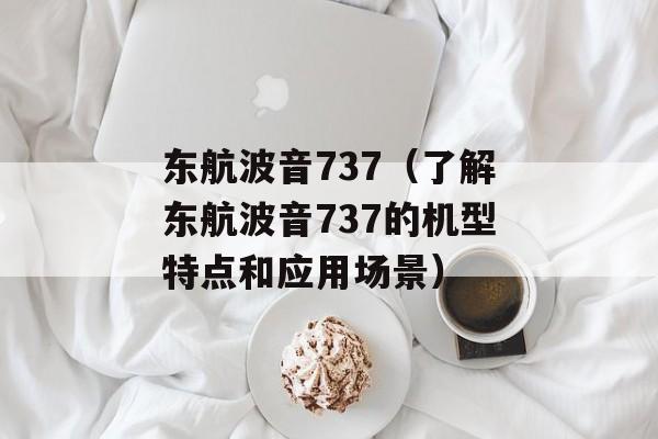 东航波音737（了解东航波音737的机型特点和应用场景）-第1张图片-居家生活