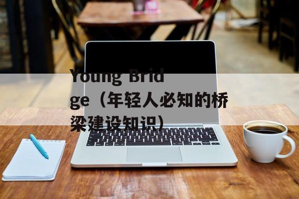 Young Bridge（年轻人必知的桥梁建设知识）-第1张图片-居家生活