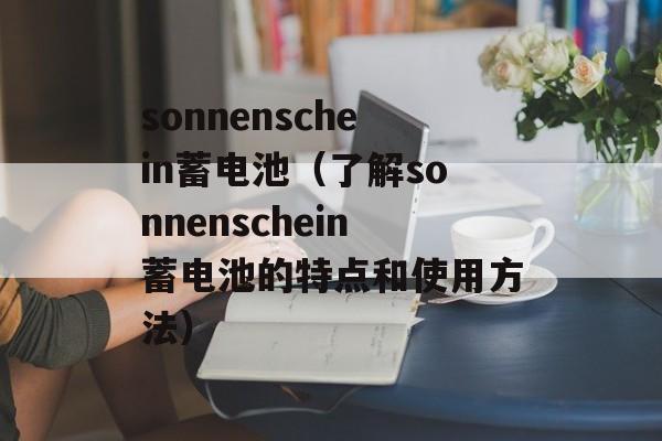 sonnenschein蓄电池（了解sonnenschein蓄电池的特点和使用方法）-第1张图片-居家生活