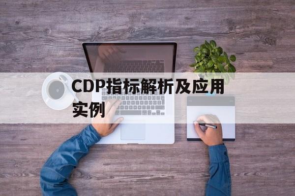 CDP指标解析及应用实例-第1张图片-居家生活