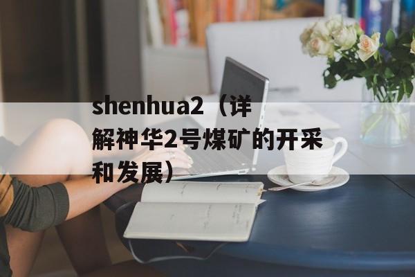 shenhua2（详解神华2号煤矿的开采和发展）-第1张图片-居家生活