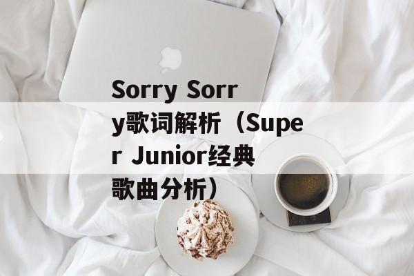 Sorry Sorry歌词解析（Super Junior经典歌曲分析）-第1张图片-居家生活
