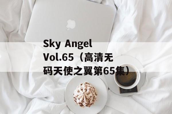 Sky Angel Vol.65（高清无码天使之翼第65集）-第1张图片-居家生活