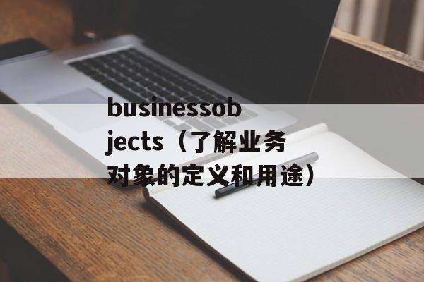 businessobjects（了解业务对象的定义和用途）-第1张图片-居家生活