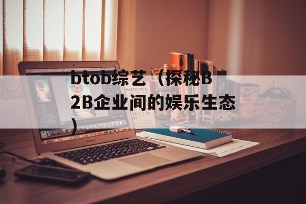 btob综艺（探秘B2B企业间的娱乐生态）-第1张图片-居家生活