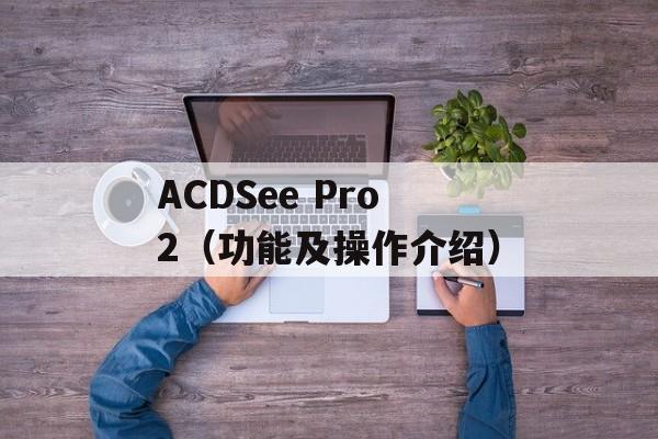 ACDSee Pro2（功能及操作介绍）-第1张图片-居家生活