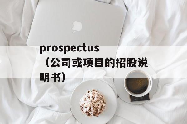 prospectus（公司或项目的招股说明书）-第1张图片-居家生活