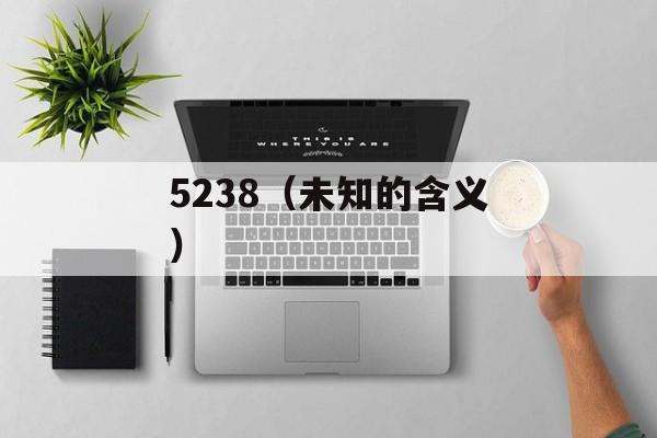 5238（未知的含义）-第1张图片-居家生活