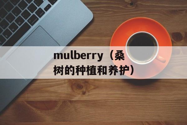 mulberry（桑树的种植和养护）-第1张图片-居家生活