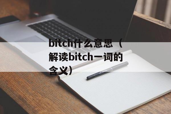 bitch什么意思（解读bitch一词的含义）-第1张图片-居家生活