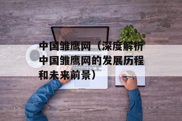 中国雏鹰网（深度解析中国雏鹰网的发展历程和未来前景）-第1张图片-居家生活