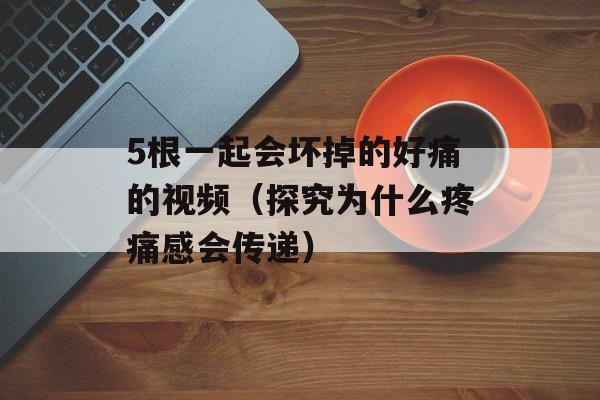 5根一起会坏掉的好痛的视频（探究为什么疼痛感会传递）-第1张图片-居家生活
