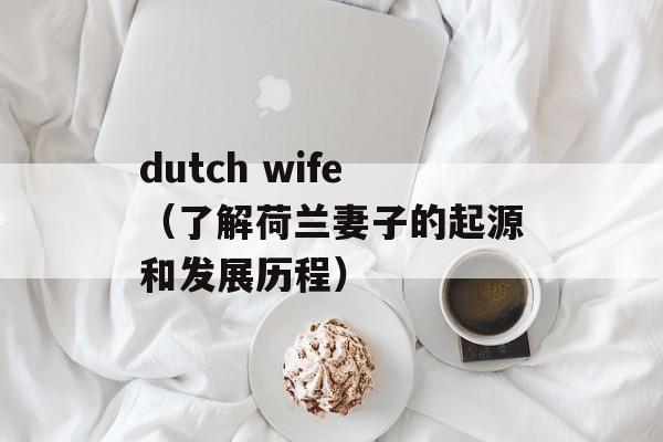dutch wife（了解荷兰妻子的起源和发展历程）-第1张图片-居家生活