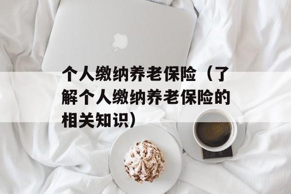个人缴纳养老保险（了解个人缴纳养老保险的相关知识）-第1张图片-居家生活