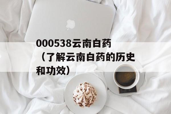 000538云南白药（了解云南白药的历史和功效）-第1张图片-居家生活