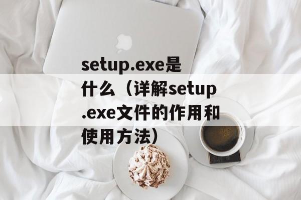 setup.exe是什么（详解setup.exe文件的作用和使用方法）-第1张图片-居家生活